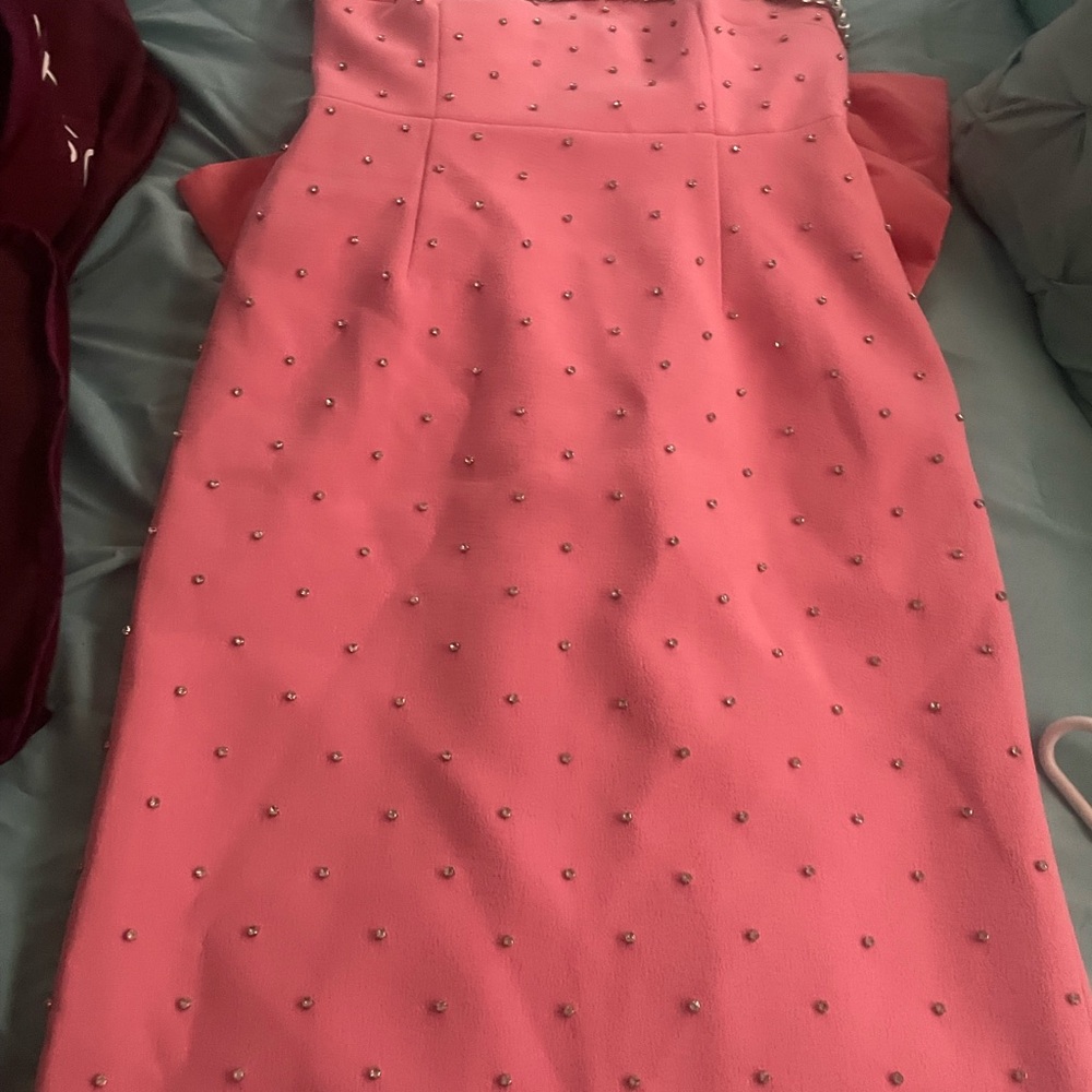 Rebecca Vallance Pink Beaded Full Length Straight Formal Dress